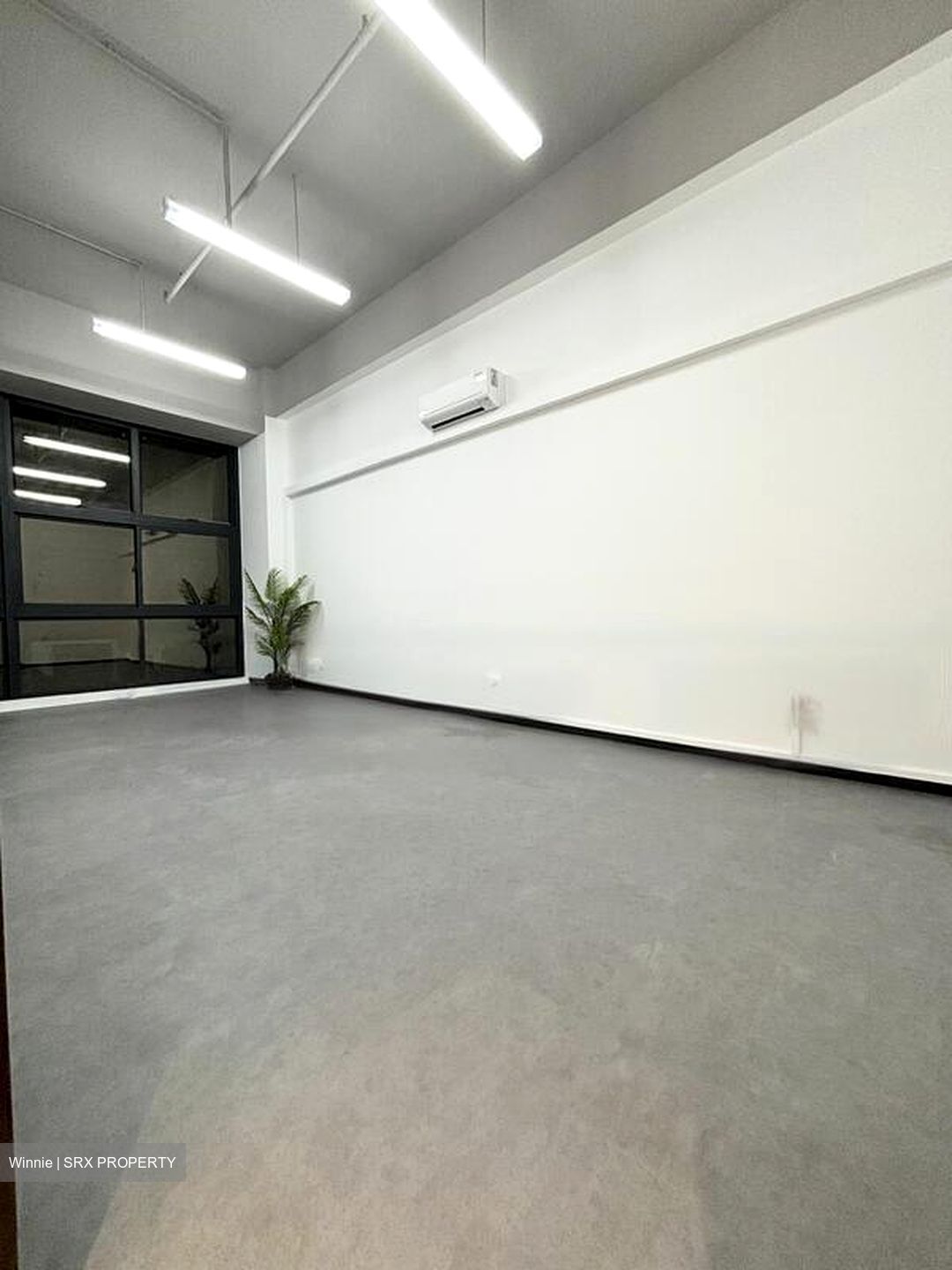 Primz Bizhub (D25), Factory #462638391